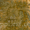  @ seppleaf.com