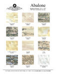 Abalone Chart -- Color Photo Reproduction @ seppleaf.com @ seppleaf.com