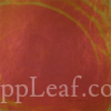  @ seppleaf.com