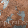  @ seppleaf.com