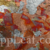  @ seppleaf.com