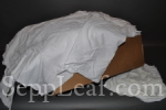  @ seppleaf.com