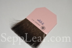  @ seppleaf.com