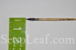  @ seppleaf.com