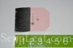  @ seppleaf.com